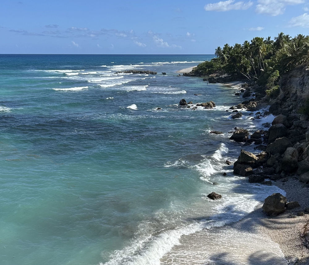 The Caribbean Sea ©.Photo by David Ascanio